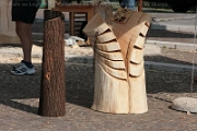 Sculture_Cavino_ 2009 (116)